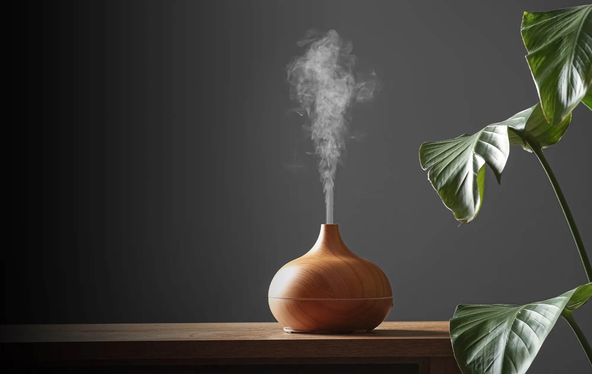 A wooden aroma diffuser letting out a plume of mist on a wooden table, large green leaves to the right, against a dark grey wall